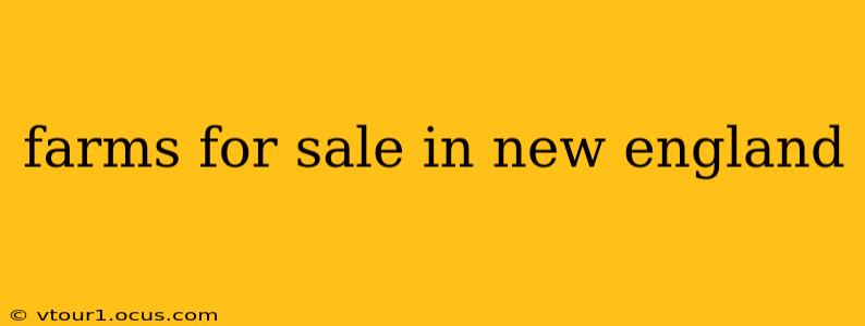 farms for sale in new england