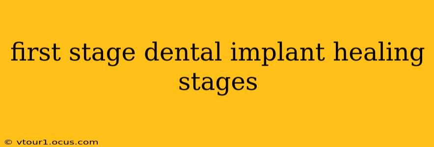 first stage dental implant healing stages