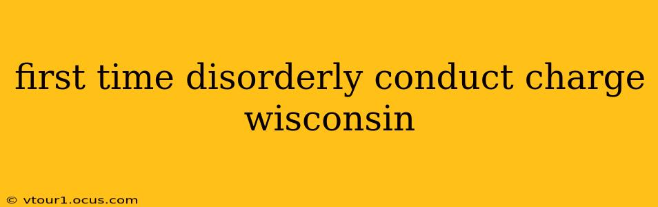 first time disorderly conduct charge wisconsin
