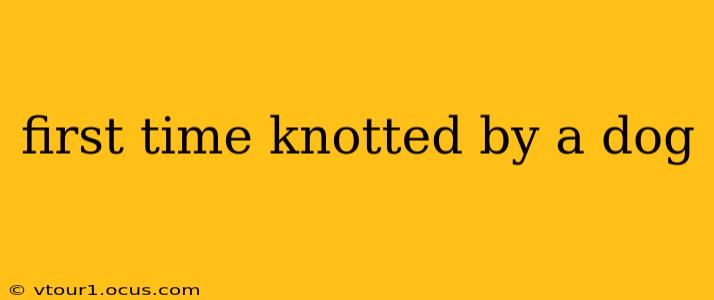 first time knotted by a dog