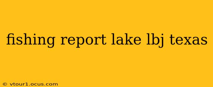 fishing report lake lbj texas
