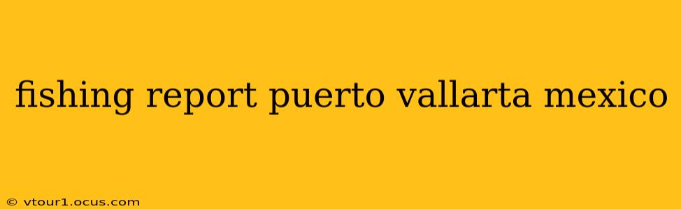 fishing report puerto vallarta mexico