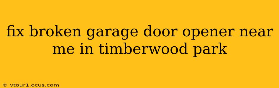 fix broken garage door opener near me in timberwood park