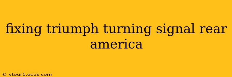 fixing triumph turning signal rear america