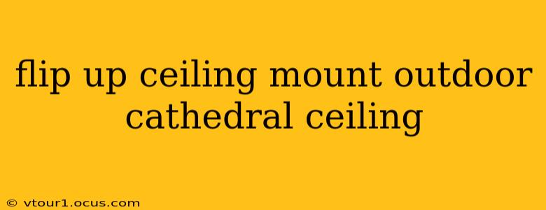 flip up ceiling mount outdoor cathedral ceiling
