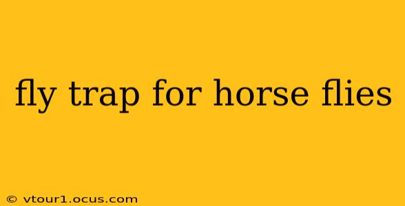 fly trap for horse flies