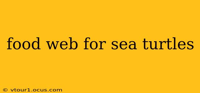food web for sea turtles