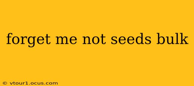 forget me not seeds bulk