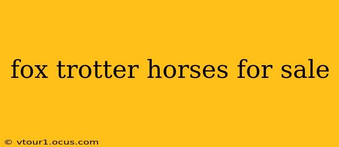 fox trotter horses for sale