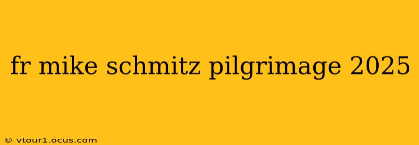 fr mike schmitz pilgrimage 2025