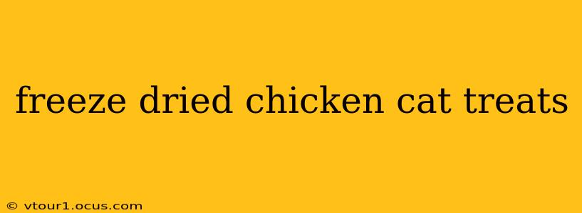 freeze dried chicken cat treats