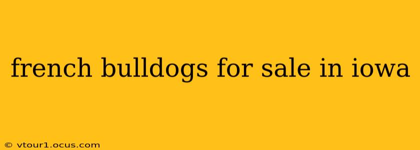 french bulldogs for sale in iowa