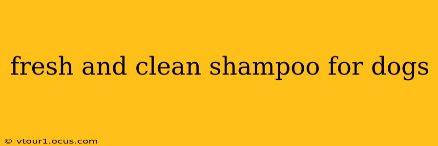 fresh and clean shampoo for dogs