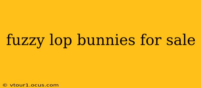 fuzzy lop bunnies for sale