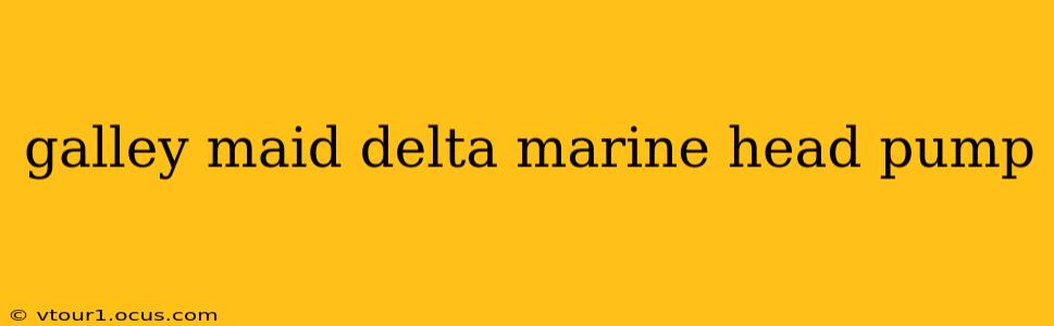 galley maid delta marine head pump
