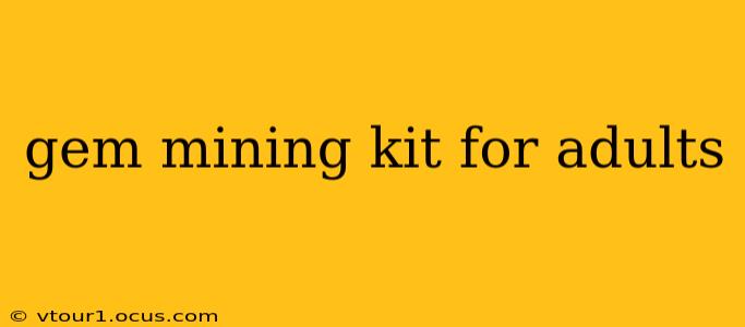 gem mining kit for adults