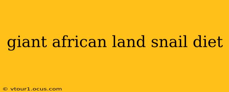 giant african land snail diet