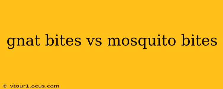 gnat bites vs mosquito bites