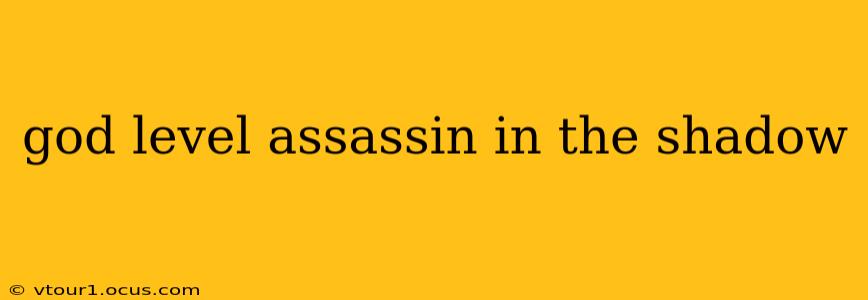 god level assassin in the shadow