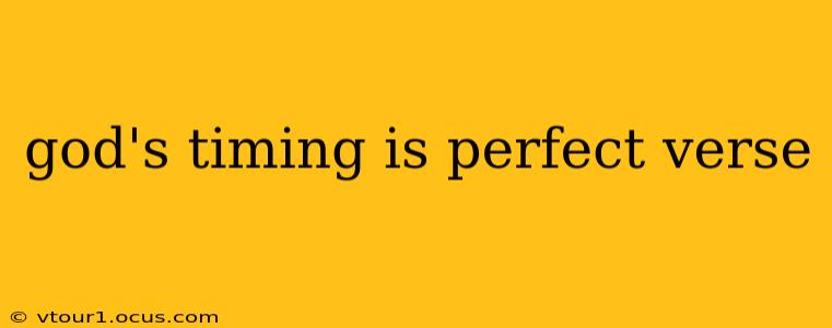 god's timing is perfect verse