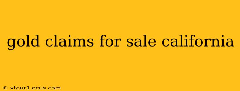 gold claims for sale california