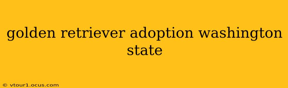 golden retriever adoption washington state