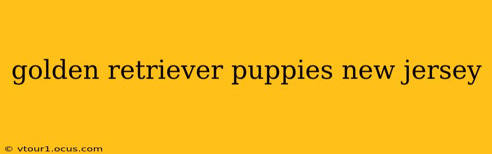 golden retriever puppies new jersey