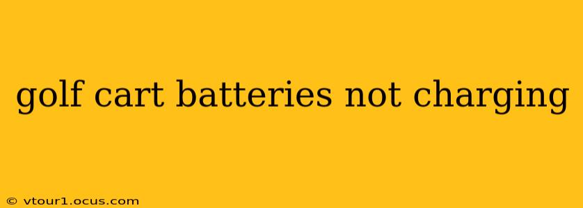golf cart batteries not charging