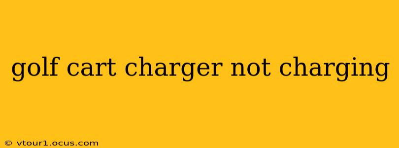 golf cart charger not charging