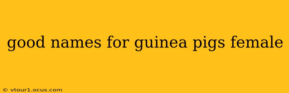 good names for guinea pigs female