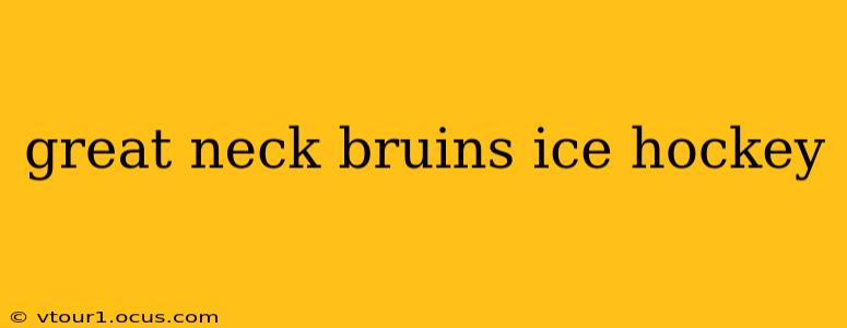great neck bruins ice hockey