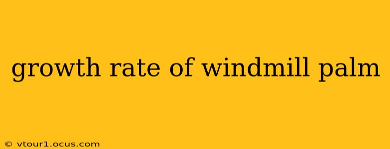 growth rate of windmill palm
