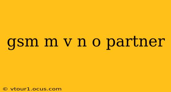 gsm m v n o partner