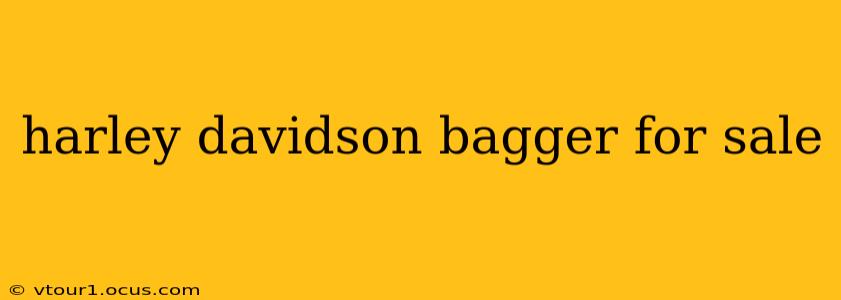 harley davidson bagger for sale