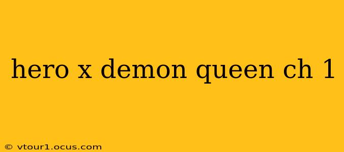 hero x demon queen ch 1
