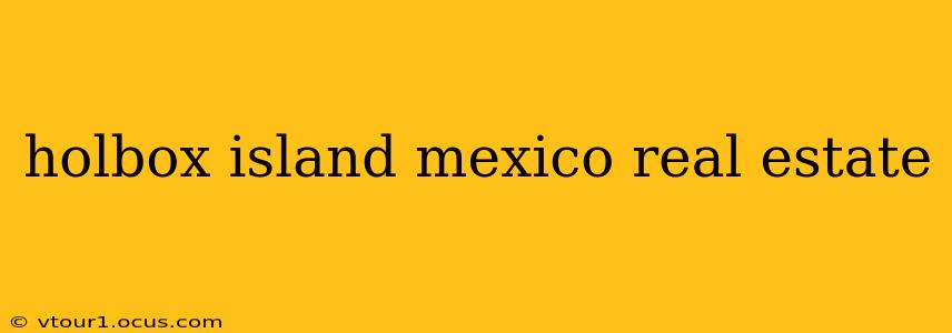 holbox island mexico real estate