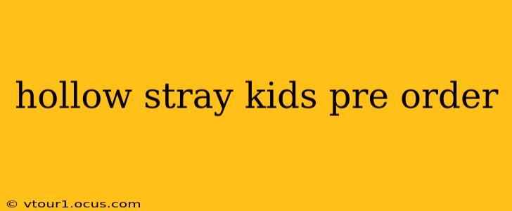 hollow stray kids pre order