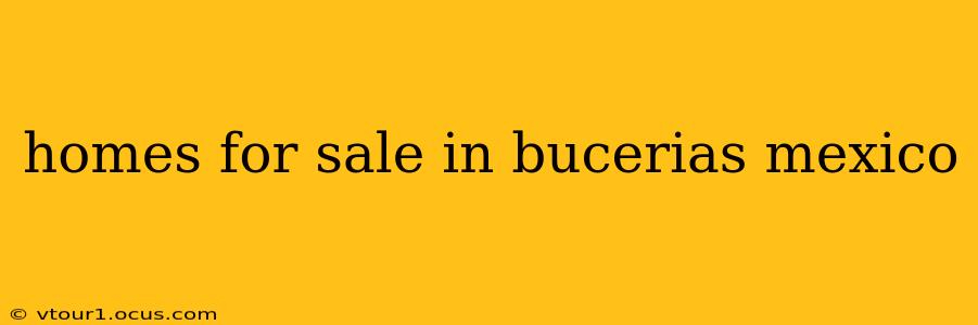 homes for sale in bucerias mexico