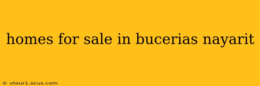 homes for sale in bucerias nayarit