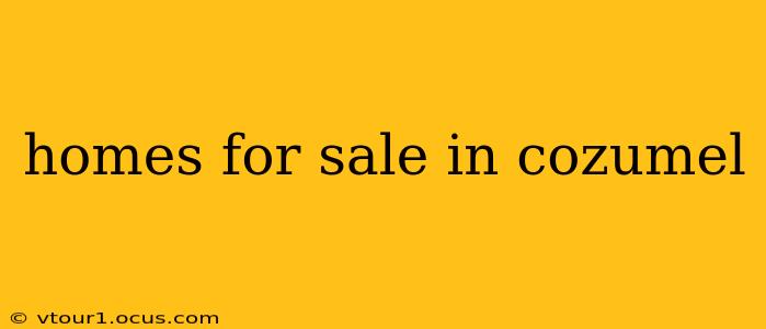 homes for sale in cozumel