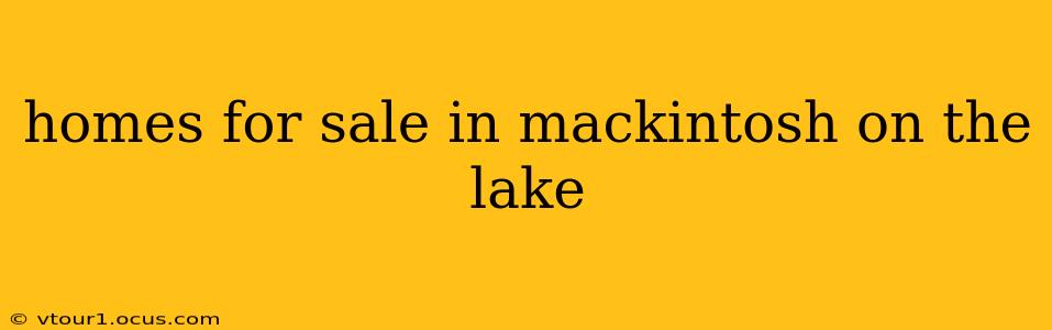 homes for sale in mackintosh on the lake