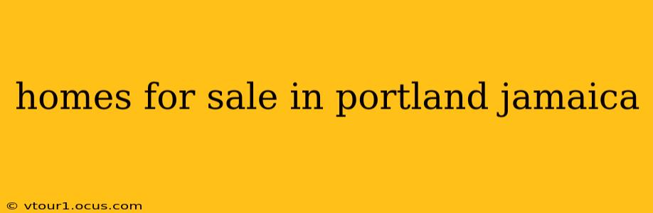 homes for sale in portland jamaica