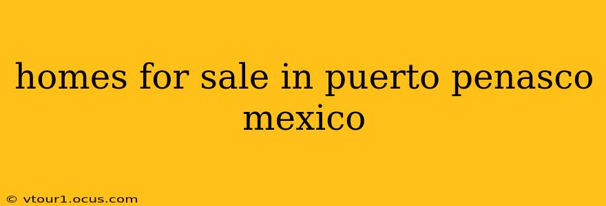 homes for sale in puerto penasco mexico