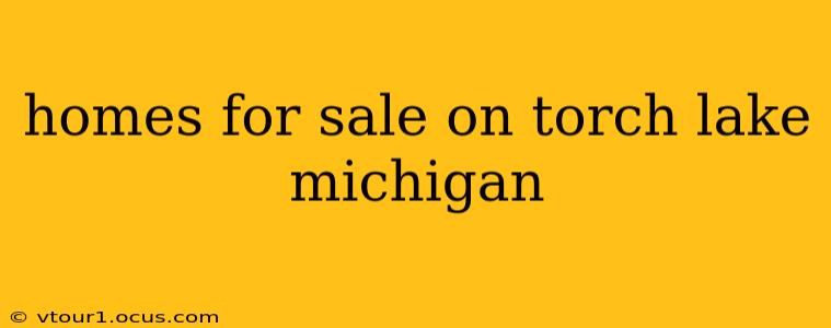 homes for sale on torch lake michigan