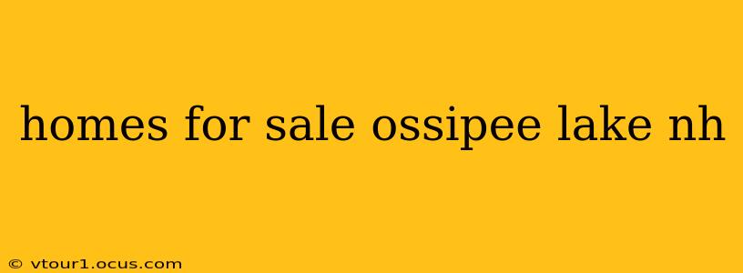homes for sale ossipee lake nh