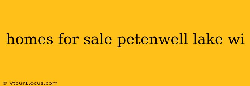 homes for sale petenwell lake wi