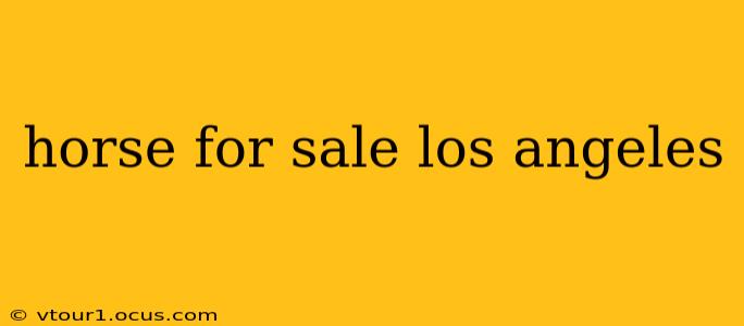 horse for sale los angeles