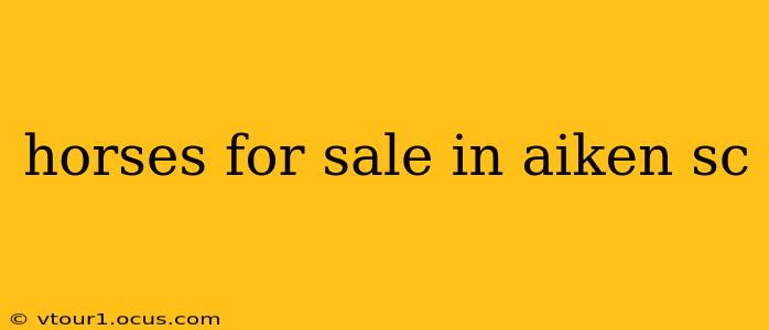 horses for sale in aiken sc