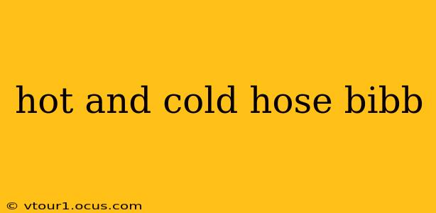 hot and cold hose bibb