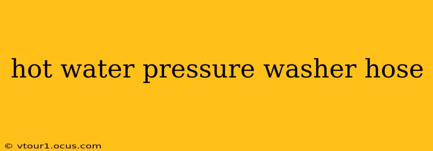 hot water pressure washer hose